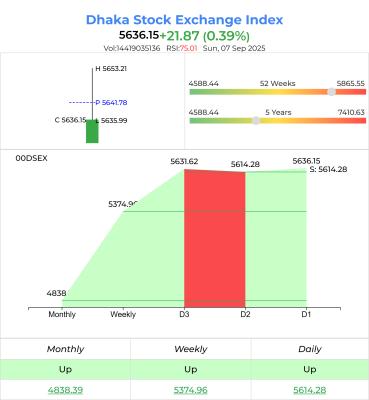 Does dividend policy affect share prices?